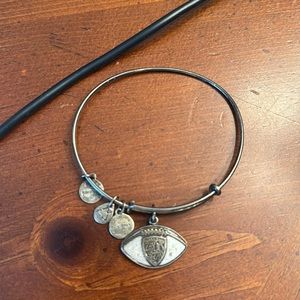 Baltimore Ravens Alex and ani